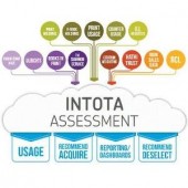 Intota Assessment