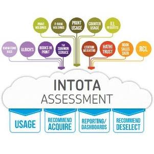Intota Assessment