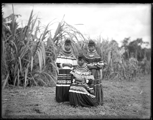 Three Seminole Girls, The Everglades, Florida, 1907 Three Seminole Girls, The Everglades, Florida, 1907